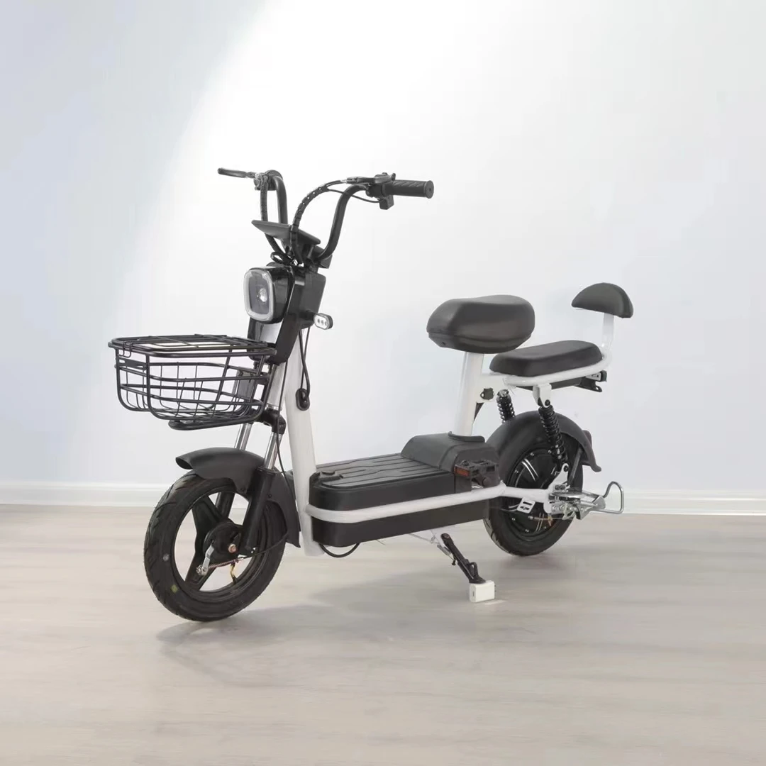 Kelansini 48V 12A Electronic Smart Adult Electric Bike with Brushless Motor and Lithium-Ion Battery