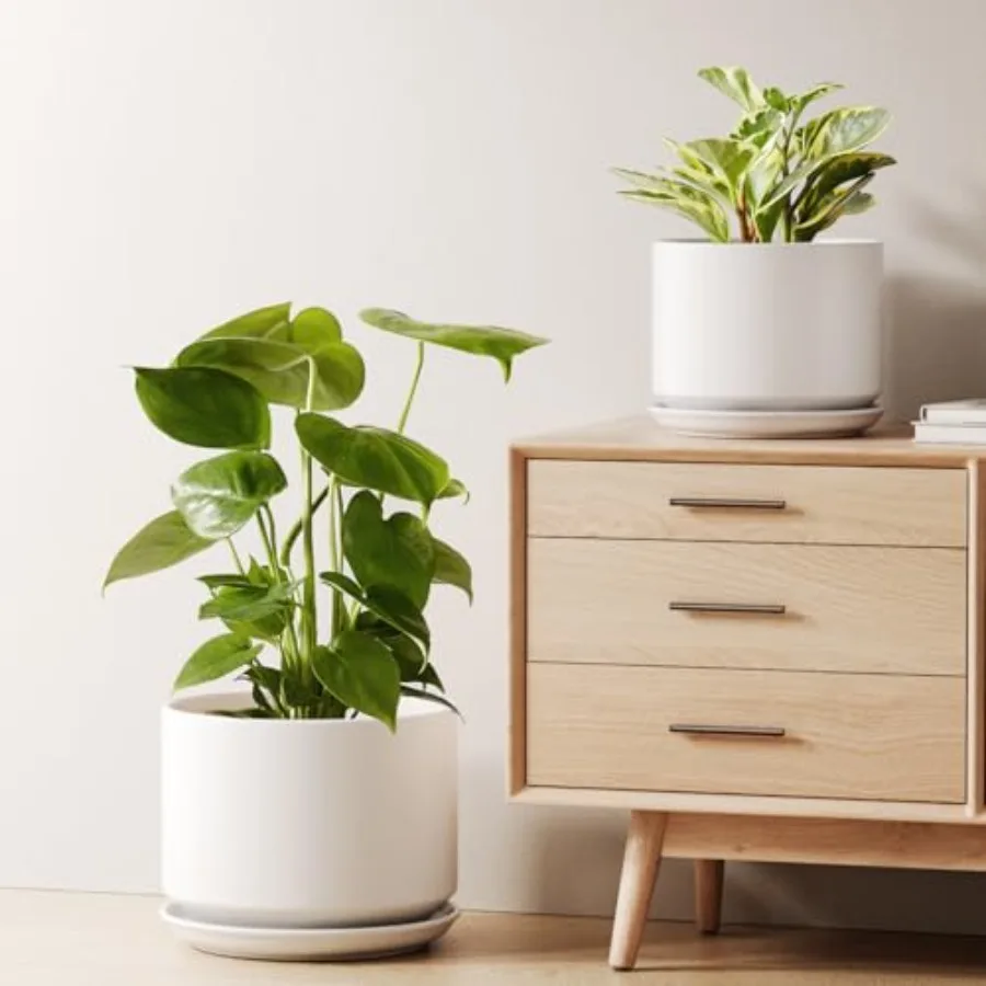 

Ceramic Plant Pots Set of 2 8+10 Inch Indoor Planters with Drainage Hole Saucer Sturdy for Snake Plant Monstera Modern Minimali