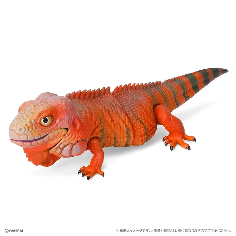 Genuine Popularity Gacha Biological Atlas Common Ameiva Correlophus Ciliatus Joint Movable Action Figure Model Toys