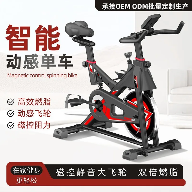 Vélo de spinning à absorption des chocs, vélo d'exercice, équipement de sport pour le cyclisme en intérieur, perte de poids, vélo magnétique