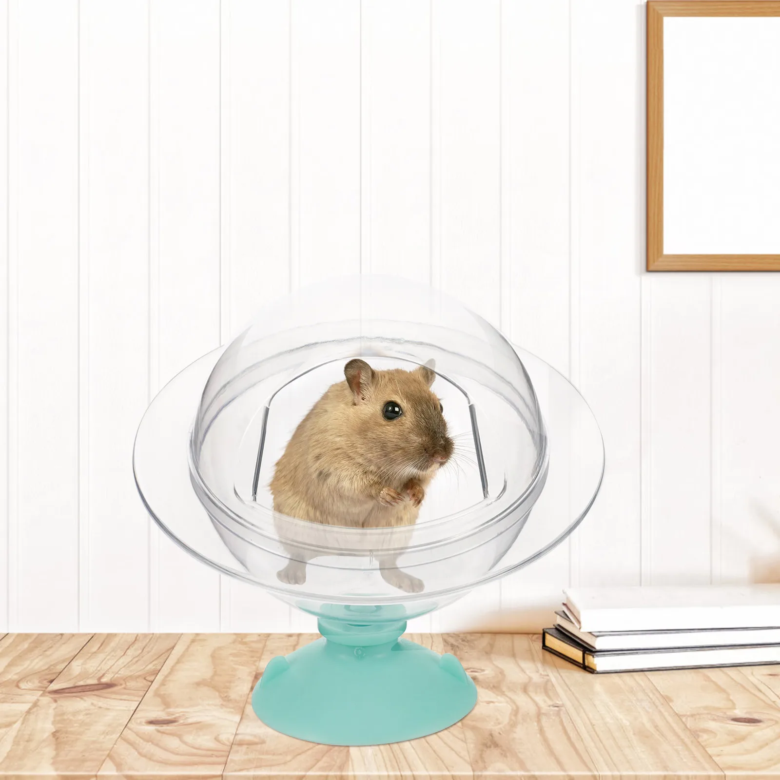 

Hamster Sand Bath Box Small Pet Supplies Compact Clear Plastic Bathtub For Guinea Pig Chinchilla Cage Decor Bathroom Accessory