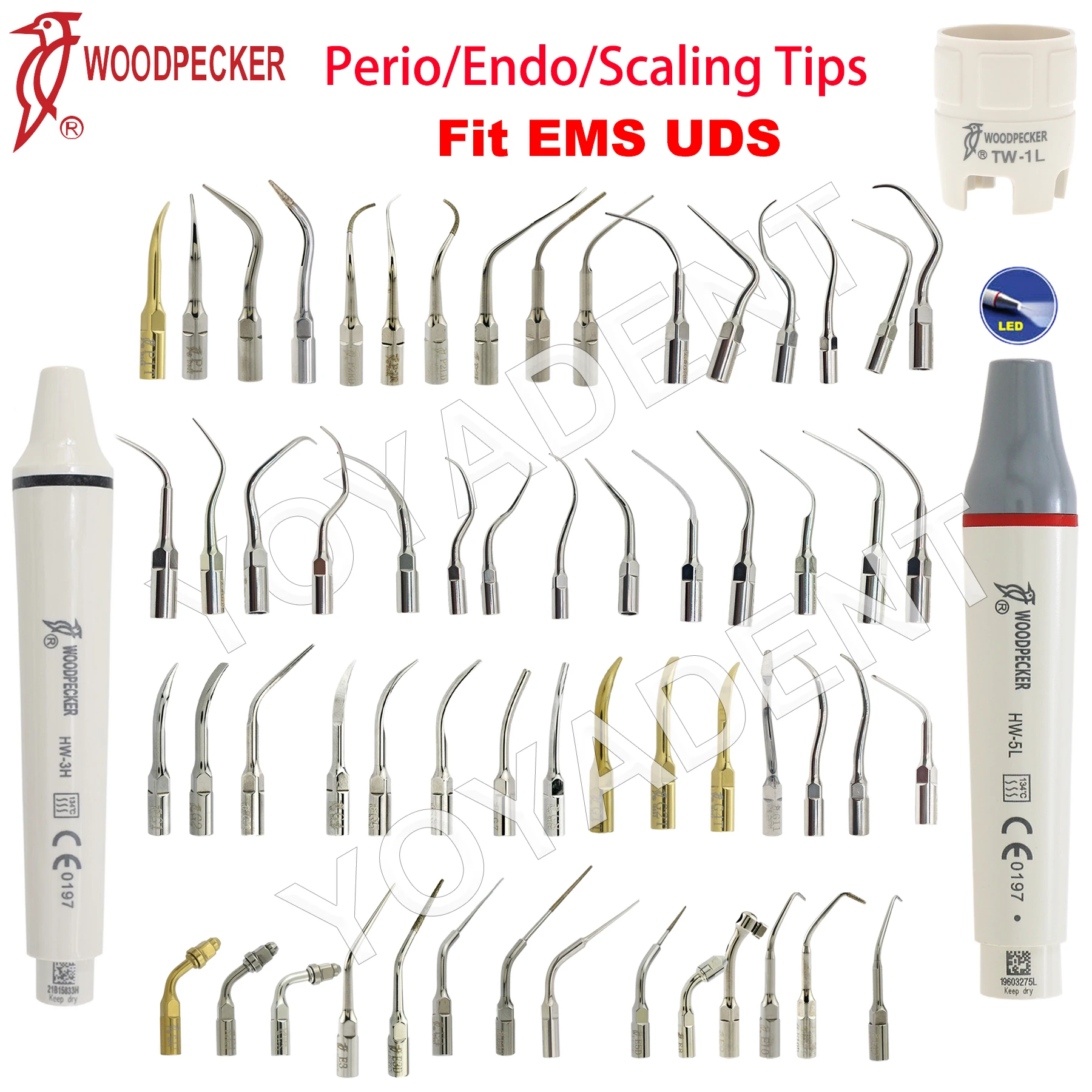 Woodpecker Dental Ultrasonic Scaler Tips Tooth Cleaning Machine Cutter Head Endo/Perio/Scaling Tips Fit EMS UDS Scaler