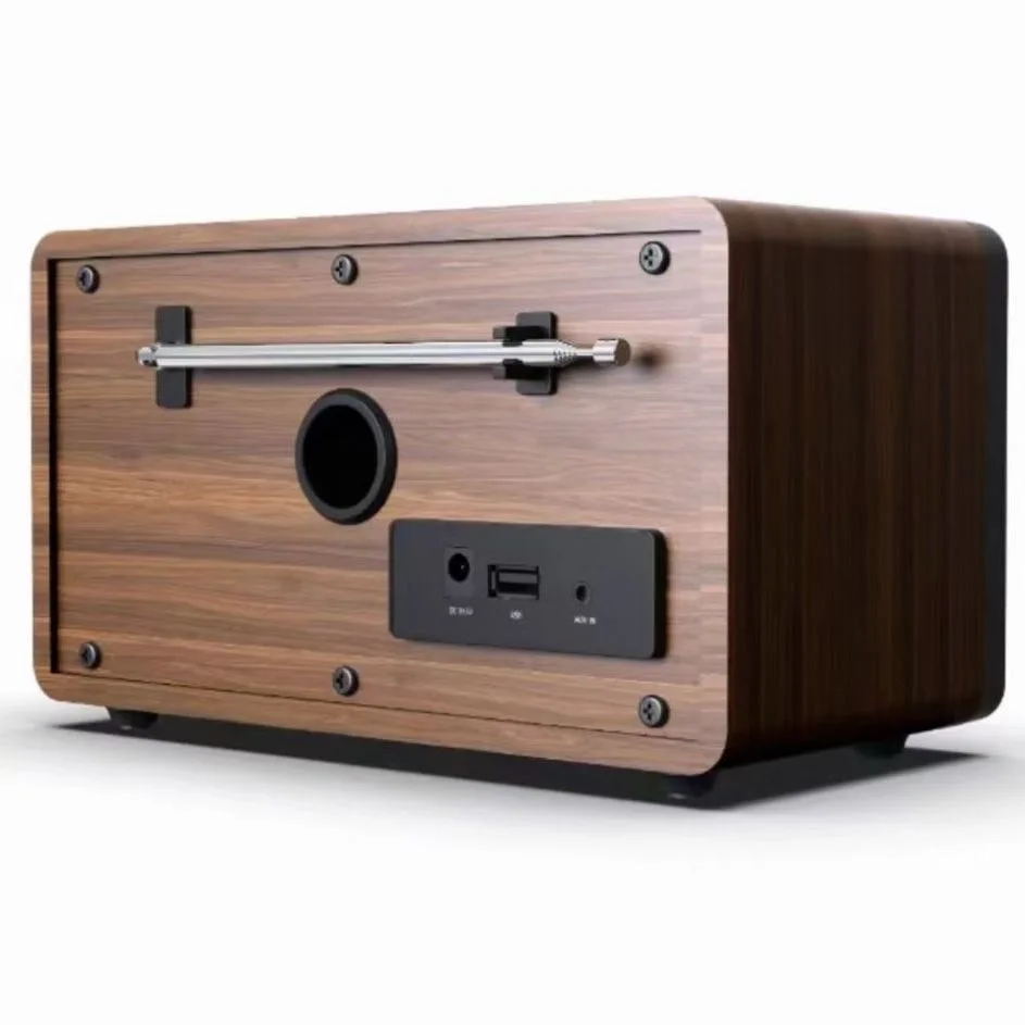 مضخم صوت بلوتوث ، مشغل راديو كبير الحجم ، متعدد الوظائف ، عمر بطارية طويل ، الاستماع إلى الكتب والغناء