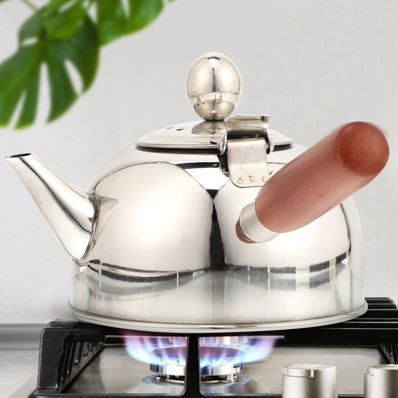 

Whistling Stainless Steel Side Handle Kettle Household Water Kettle Kitchen Stove Use Metal Tea Pot for Tea Coffee