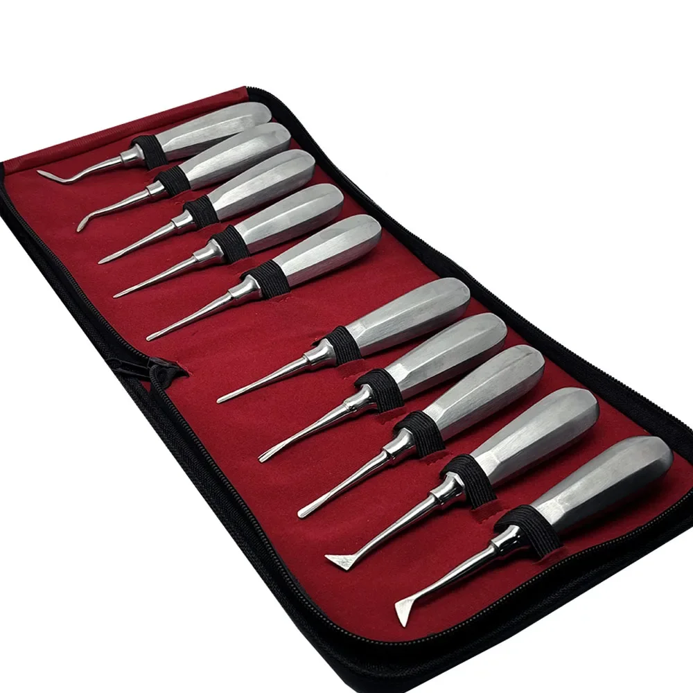 

10Pcs Dental Elevator Stainless Steel Tooth Root Elevator Kit Straight Curved for Minimally Invasive Dentistry Tools