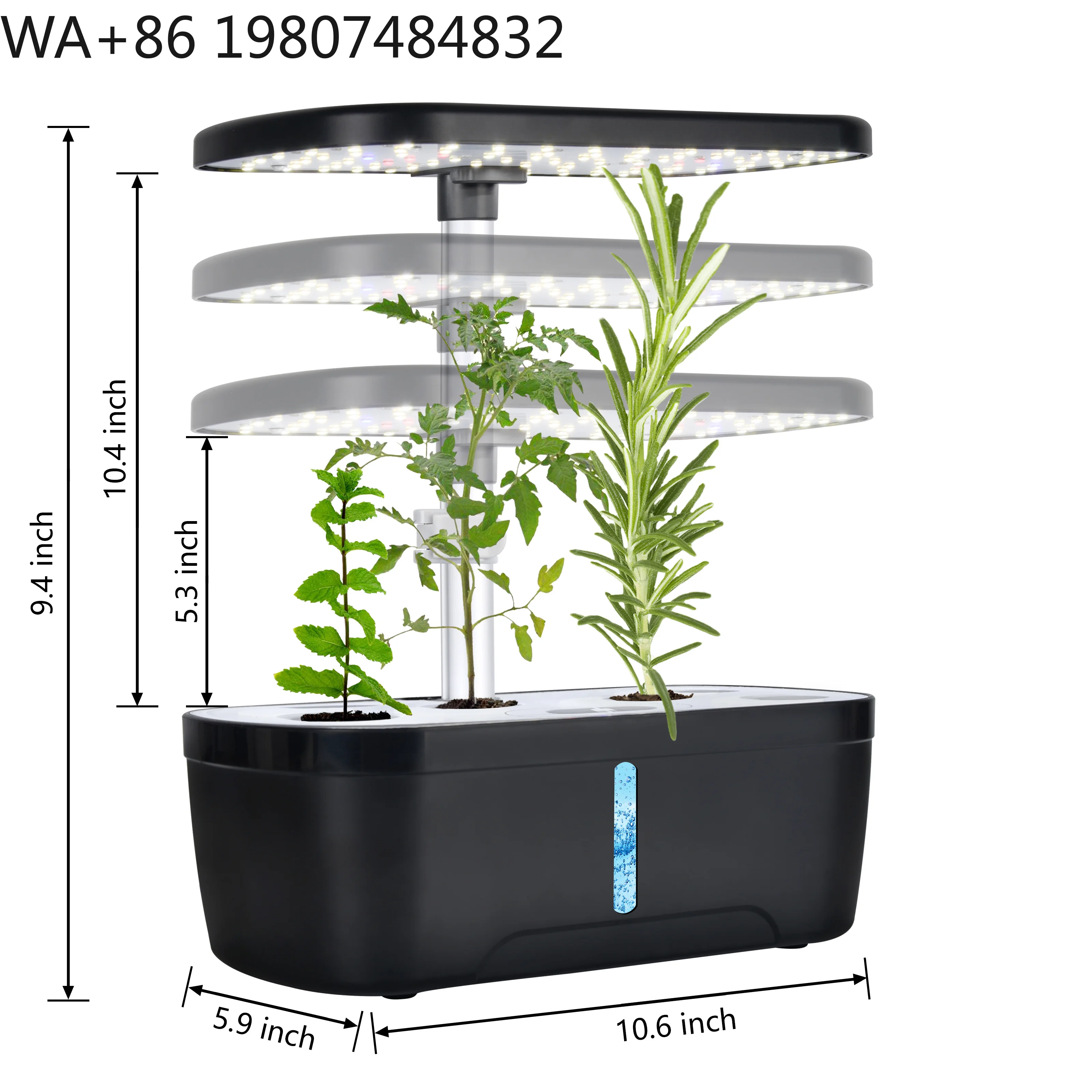 6-hole Mini Desktop Soilless Cultivation Kit Full Spectrum LED Fill Light  Indoor Balcony Herb Vegetable Small Space Hydroponic
