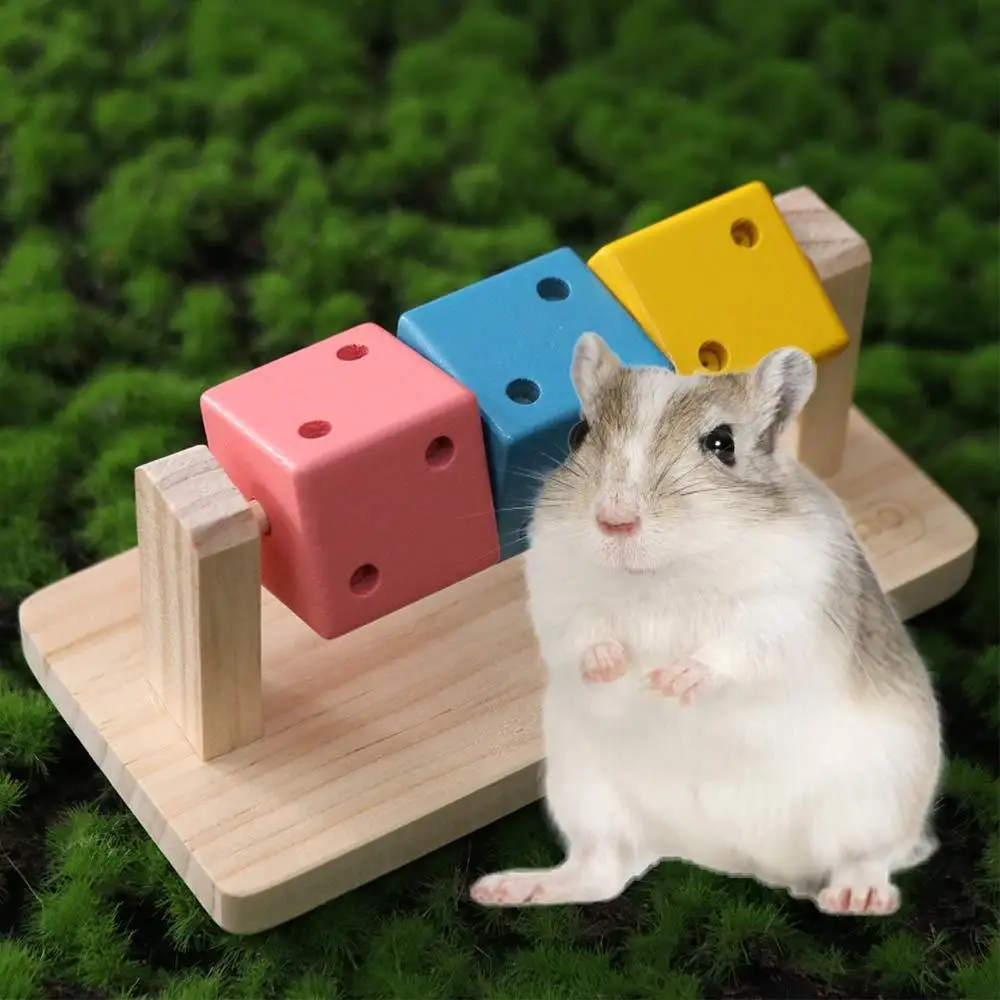 

Cube Hamster Funny Hamster Cube Bite Resistant Wood Pet Chew Blocks Rainbow Hamster Chew Cube for Relieve Boredom