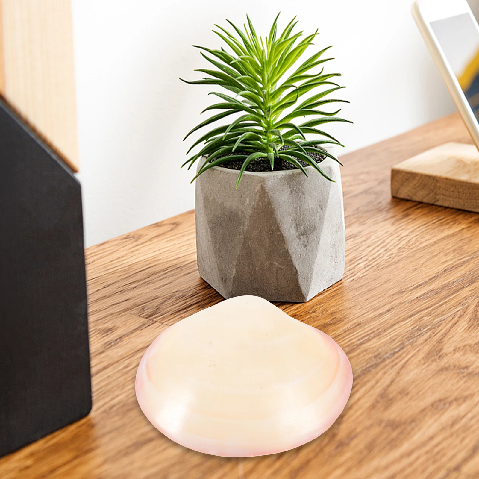 

Small Shell Shaped Jewelry Case Natural Trinket Box for Studs Rings Earrings Compact Storage Container Travel Friendly Elegant