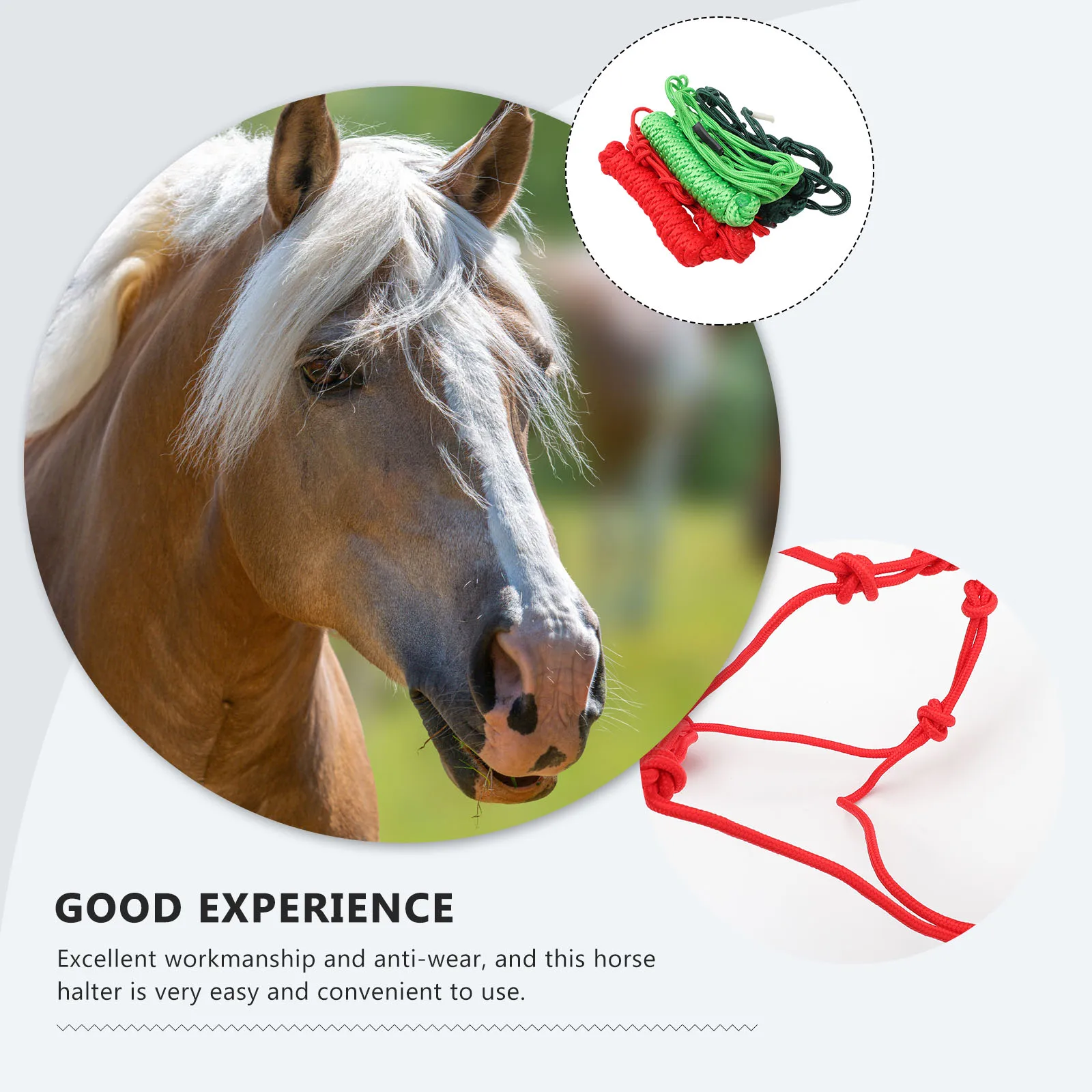 

Professional Horse Halter Wear Resistant Cloth Braid Training Halter Portable Horse Supply Racing Equipment Bridles