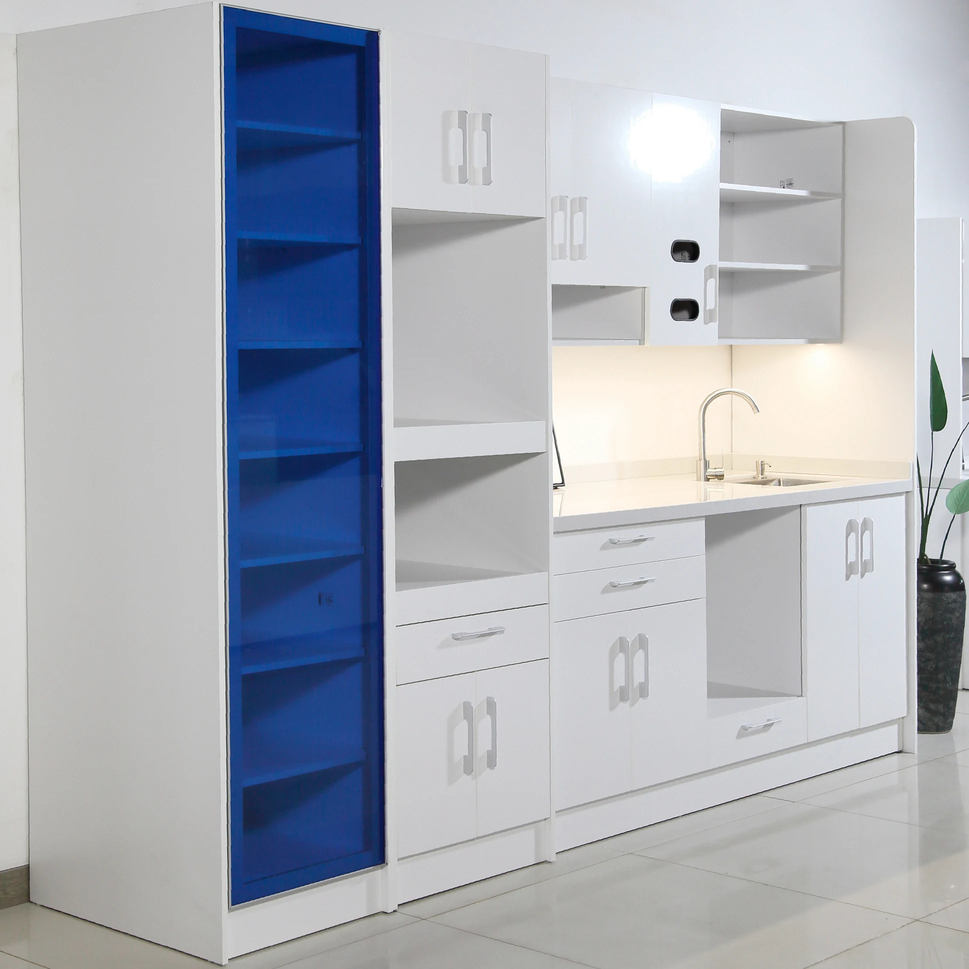 Premium Plywood Dental Storage System With American Market Expertise and Custom Cabinetry Solution for Dental Suite