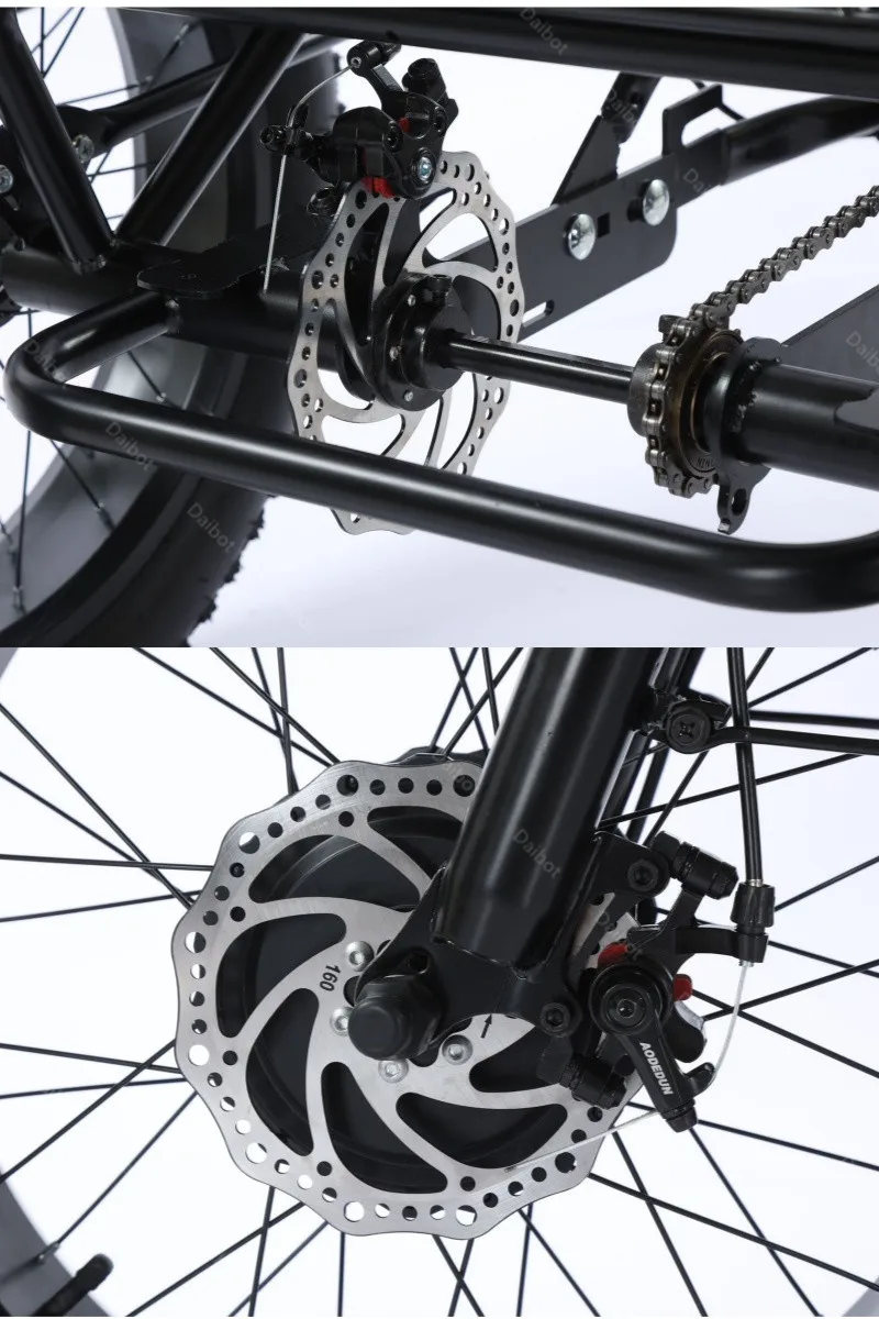 3-Rad 20-Zoll Fatbike für Erwachsene mit herausnehmbarem Akku, Elektrofahrrad 48V 500W, Elektro-Mountainbike mit Gepäckträger – Detail 10