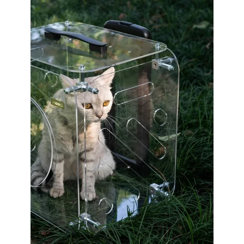 New Arrival Transparent Cat Carrier Large Capacity Pet Luggage Bag with Wheels