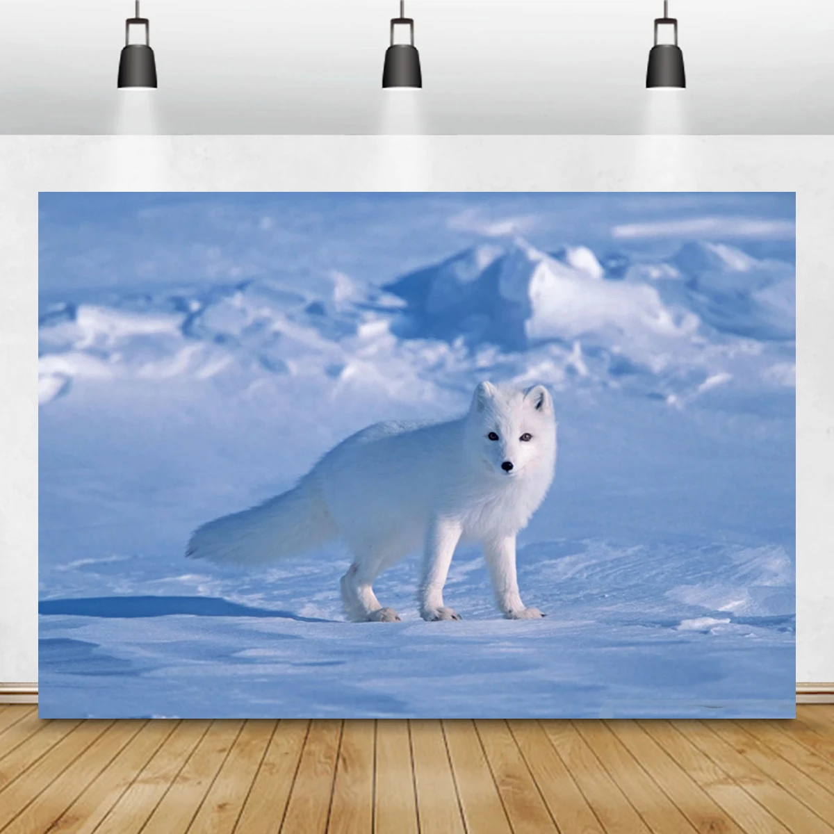 

Arctic Fox Wild Life Backdrop World Beautiful Places Nature Animal Valley School Wall Photography Background Restaurant Decor