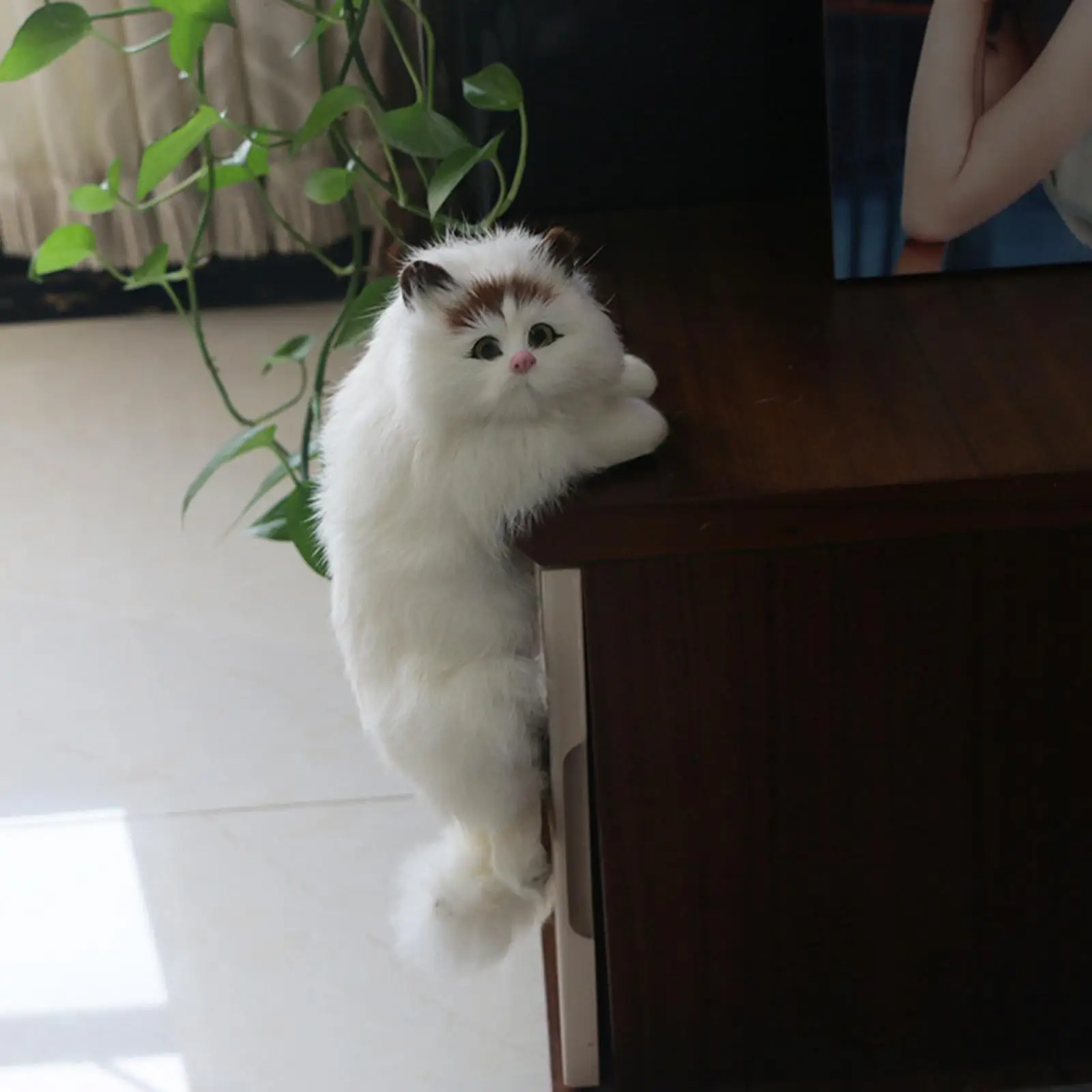 Real Hair Kitty Cat Ornament Handmade Plush Animal Doll for Home Decor Bedroom Desk Shelf Girls Interactive Toy