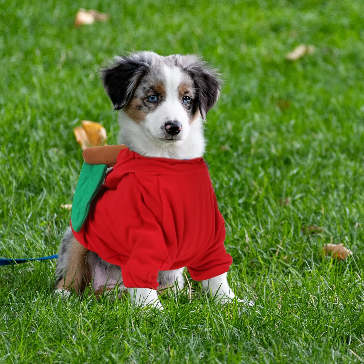 

Clothes Halloween near Me Pet Costume Funky for Small Dogs Supplies Cotton