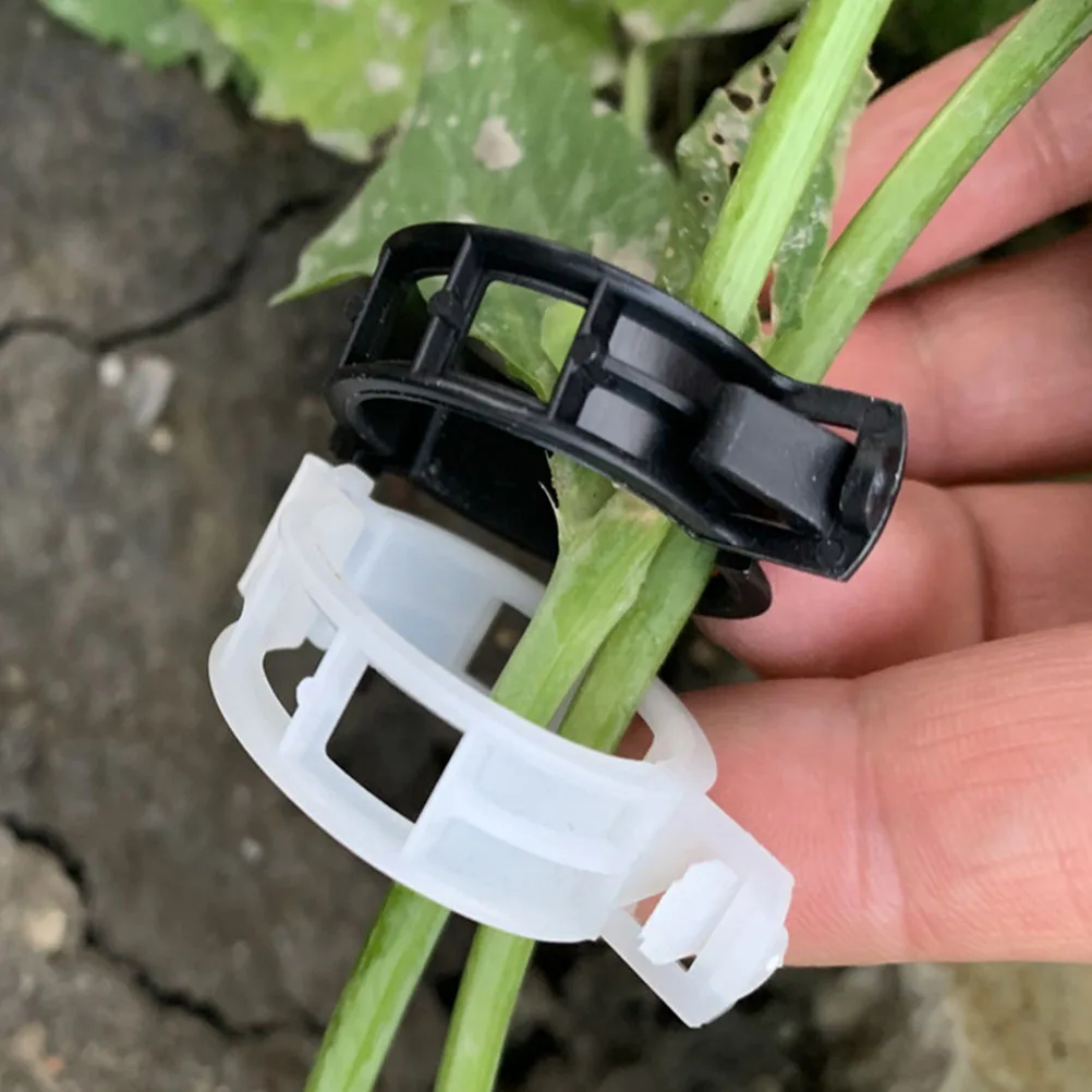 

100pcs Plant Clips Flower Vine Clamp Garden Supplies Tomato Stem Support Plastic Clamps Durable Black Climbing for Vegetables