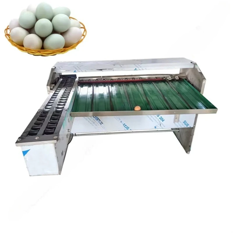 معايير الدرجات المخصصة الفولاذ المقاوم للصدأ آلة تصنيف وزن البيض 5-7 مستوى آلة فرز البيض المزرعة الدجاج #2
