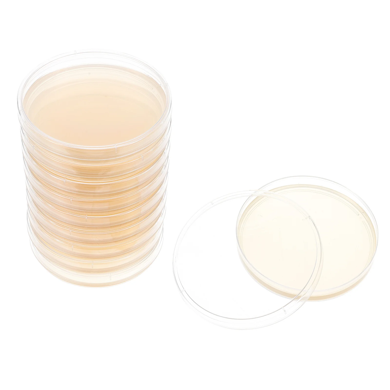 10 Pcs Scientific Sabouraud Dextrose Agar Tryptic Soy Plate Nutrient Petri Dishes with Poured Plates Child