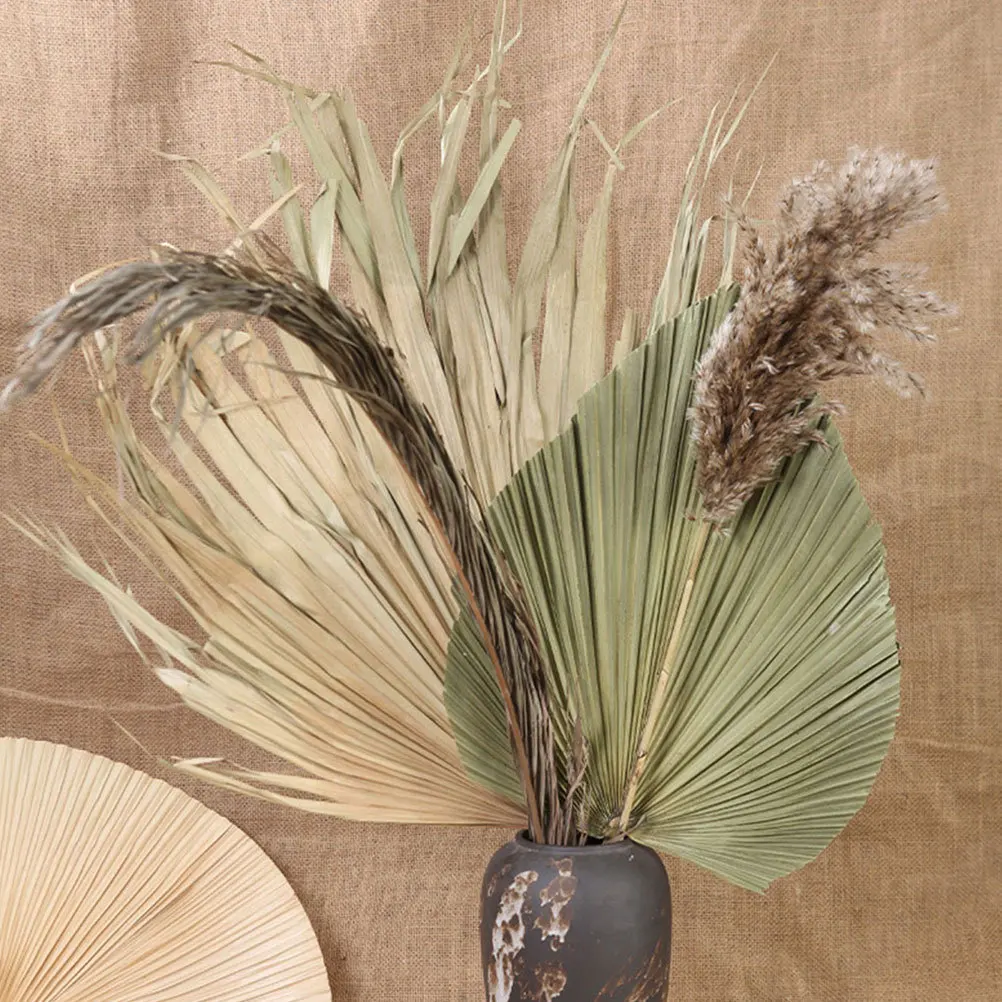 ใบปาล์มแห้ง 4 ชิ้น สำหรับตกแต่งงานแต่งงาน งานปาร์ตี้ ใบปาล์มสดใส รูปทรงพัด สำหรับจัดดอกไม้ ของตกแต่ง ใบไม้เขตร้อน