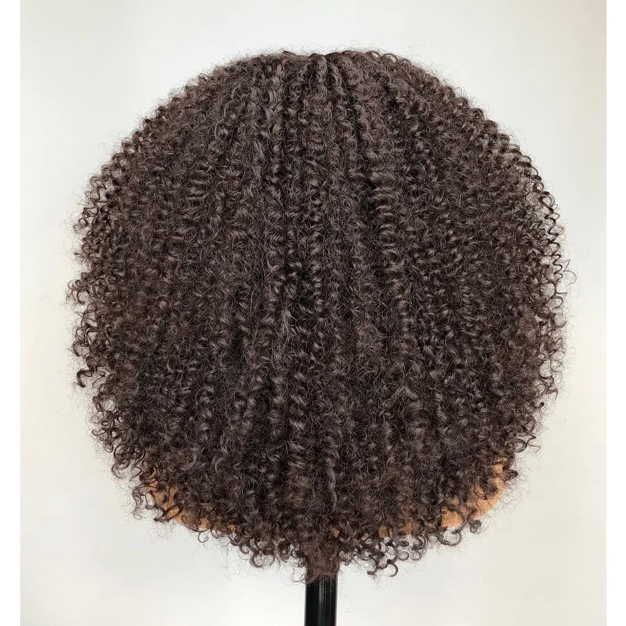 مجعد الدانتيل الجبهة الباروكات قبل قطعها قصيرة الدانتيل الجبهة الباروكات للنساء السود 13x4x1 HD بني داكن مجعد شعر مستعار أفريقي الشعر الاصطناعية 17 I