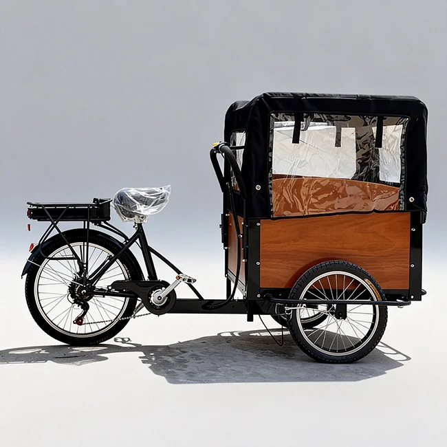Electric Motorized Cargo Trike 3 Wheel Tricycle Open Body 4 Passengers 36V for Family Use Factory Price