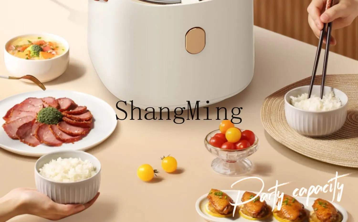 ZYY reservation insulation multi-functional home cooking soup rice large capacity non-stick liner