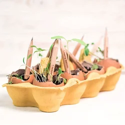 Plantable pencils