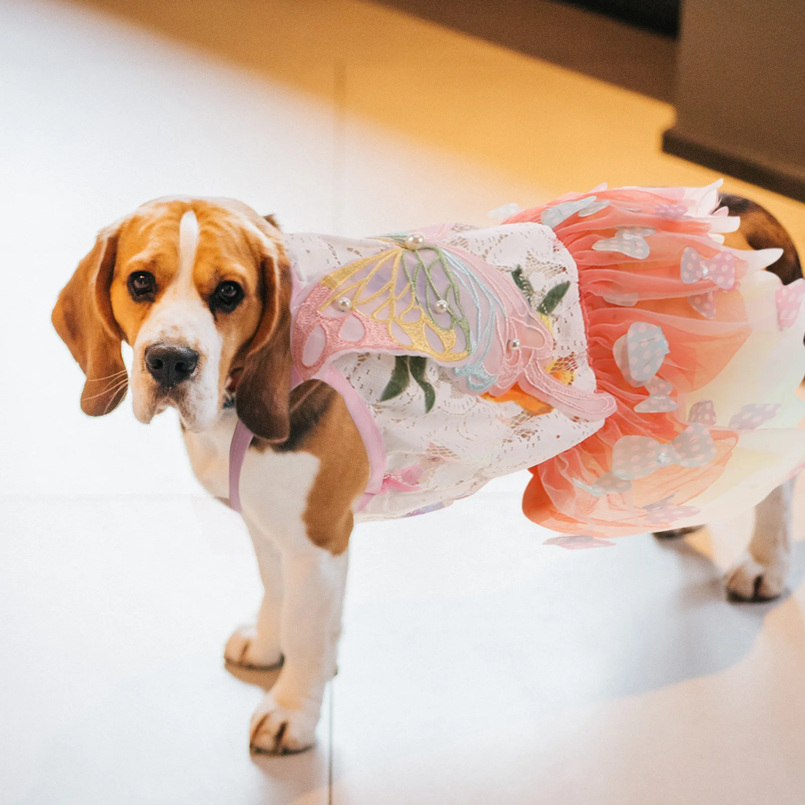 

Princess Dog Dress Butterfly Inspired Costume for Puppies Lightweight Elegant Pet Clothes for Daily Walks Birthday Events