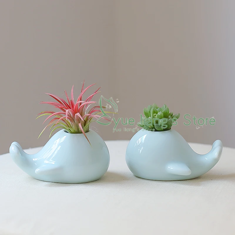 Small Whale Pots Decorative Tabletop Ceramic Blue Flower Pots Cute Mini Hydroponic Plant Pot Balcony