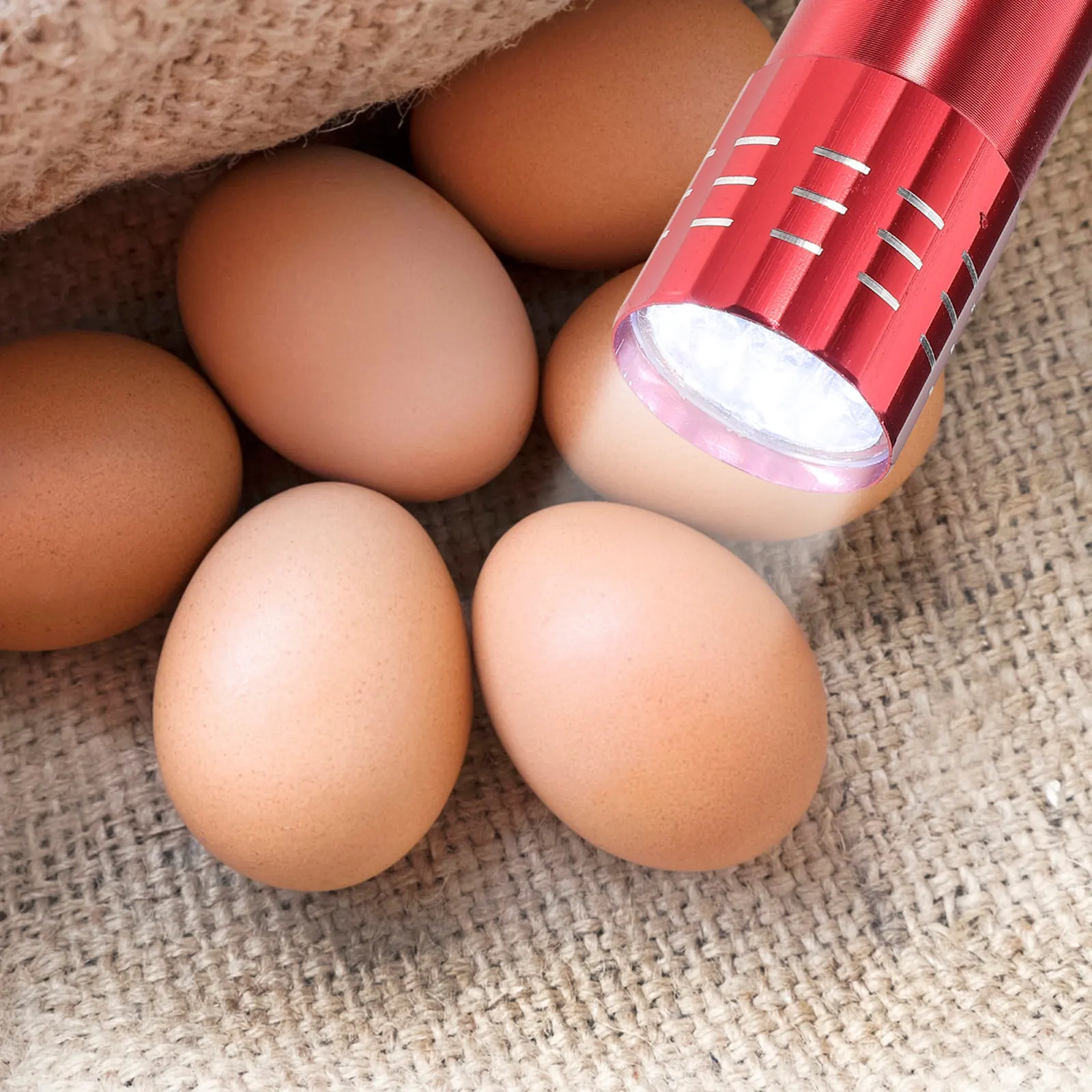 LED Egg Candler Lamp for Freshness Test & Fertilization Detection – Small Portable Incubation Tool