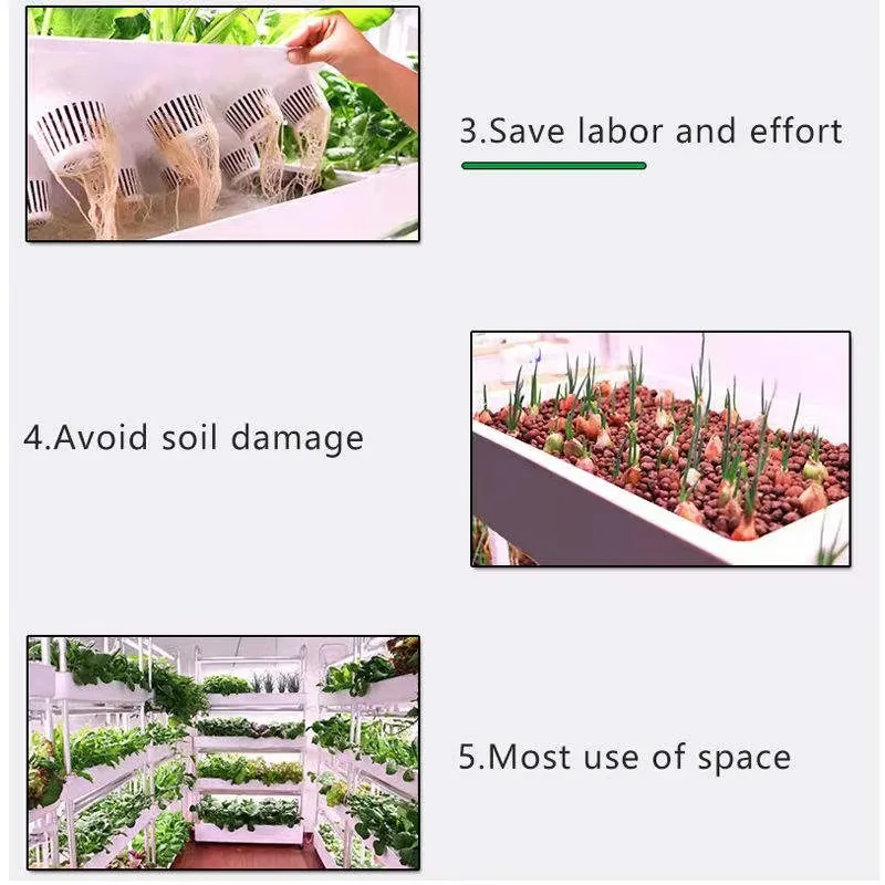 120 فتحة معدات الزراعة المائية للري نظام زراعة المائية للحديقة الداخلية الذكية لزراعة أوراق الخضروات