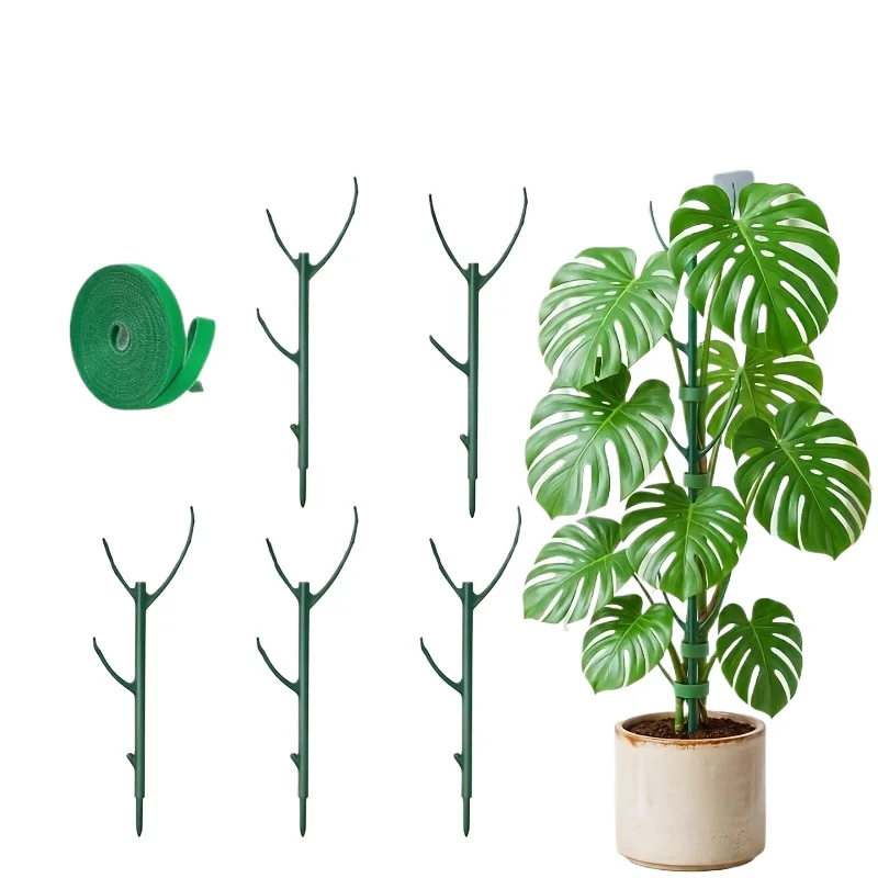 Podpórki do roślin Monstera, 5 ram do podtrzymywania i 1 rolka opasek do wiązania, podpórki ogrodowe specjalnie zaprojektowane do podtrzymywania pędów roślin pnących. — 2