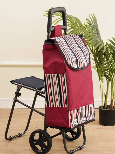 stainless-steel-shopping-cart-with-convenient-hand-pulling-vegetable-buying-cart-stool-foldable-portable-elderly-people
