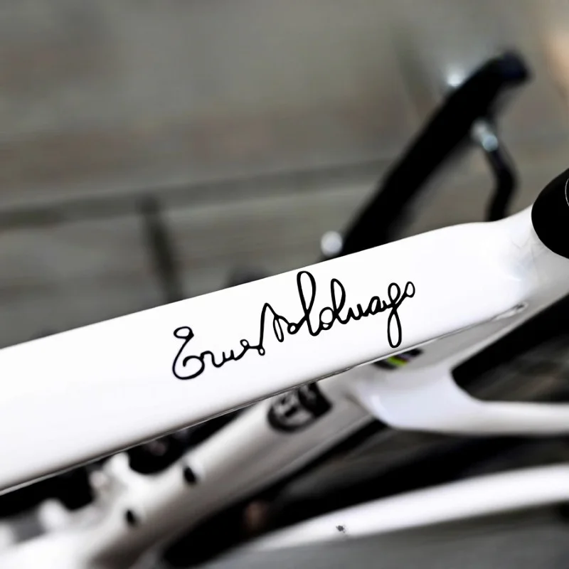 1 Sticker:Plum Blossom Signature Reflective Sticker for Road Bike Frames and Mountain Bikes—Front Fork,Waterproof, Custom Design