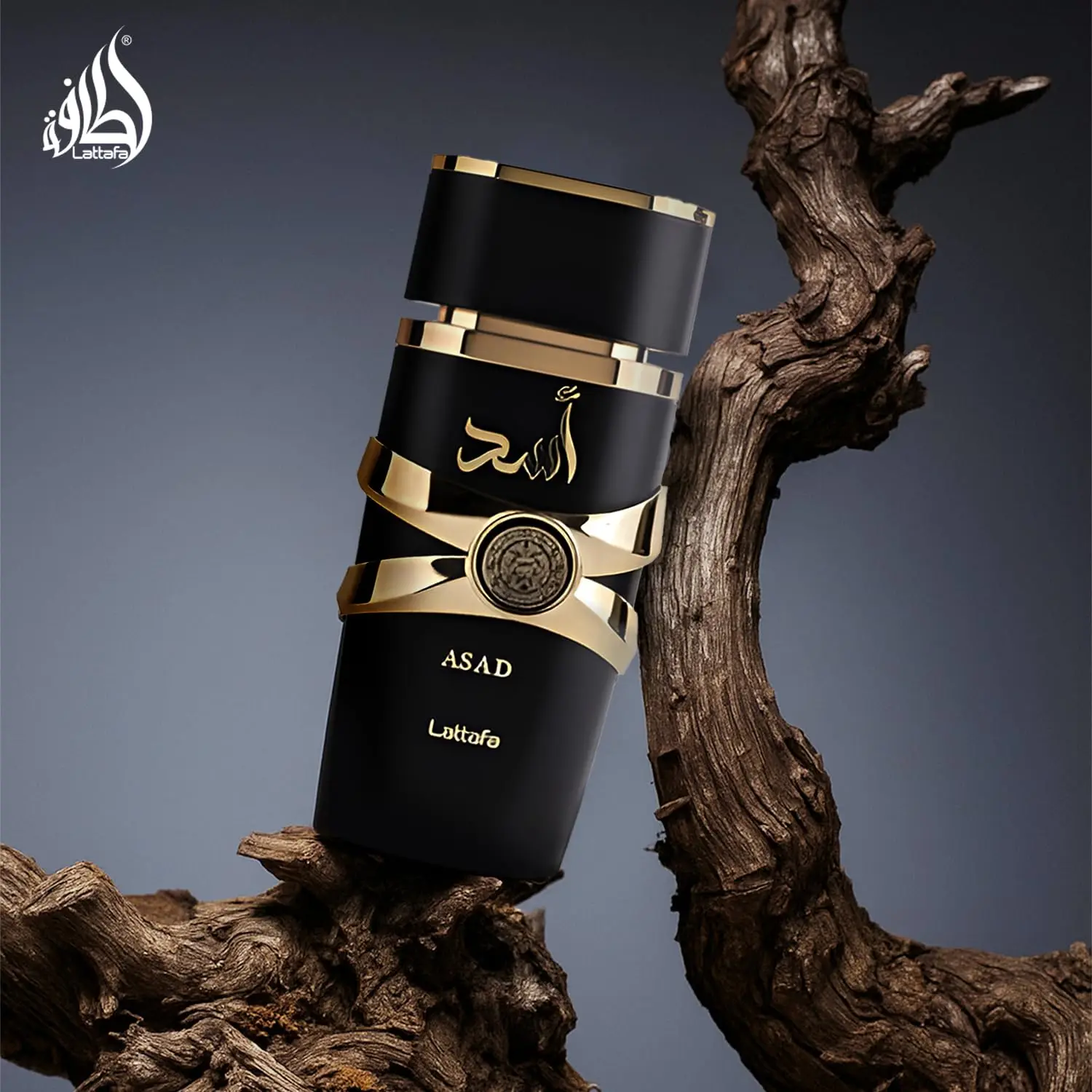 عطر لاتافا أساد للجنسين بخاخ عطر أو دو، 3.4 أونصة