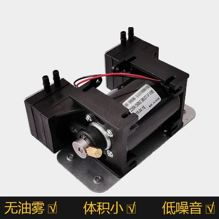 Micro pompe à vide DC12V, Micro pompe à Air spéciale pour Instruments de beauté, petite pompe à pression négative à Double tête