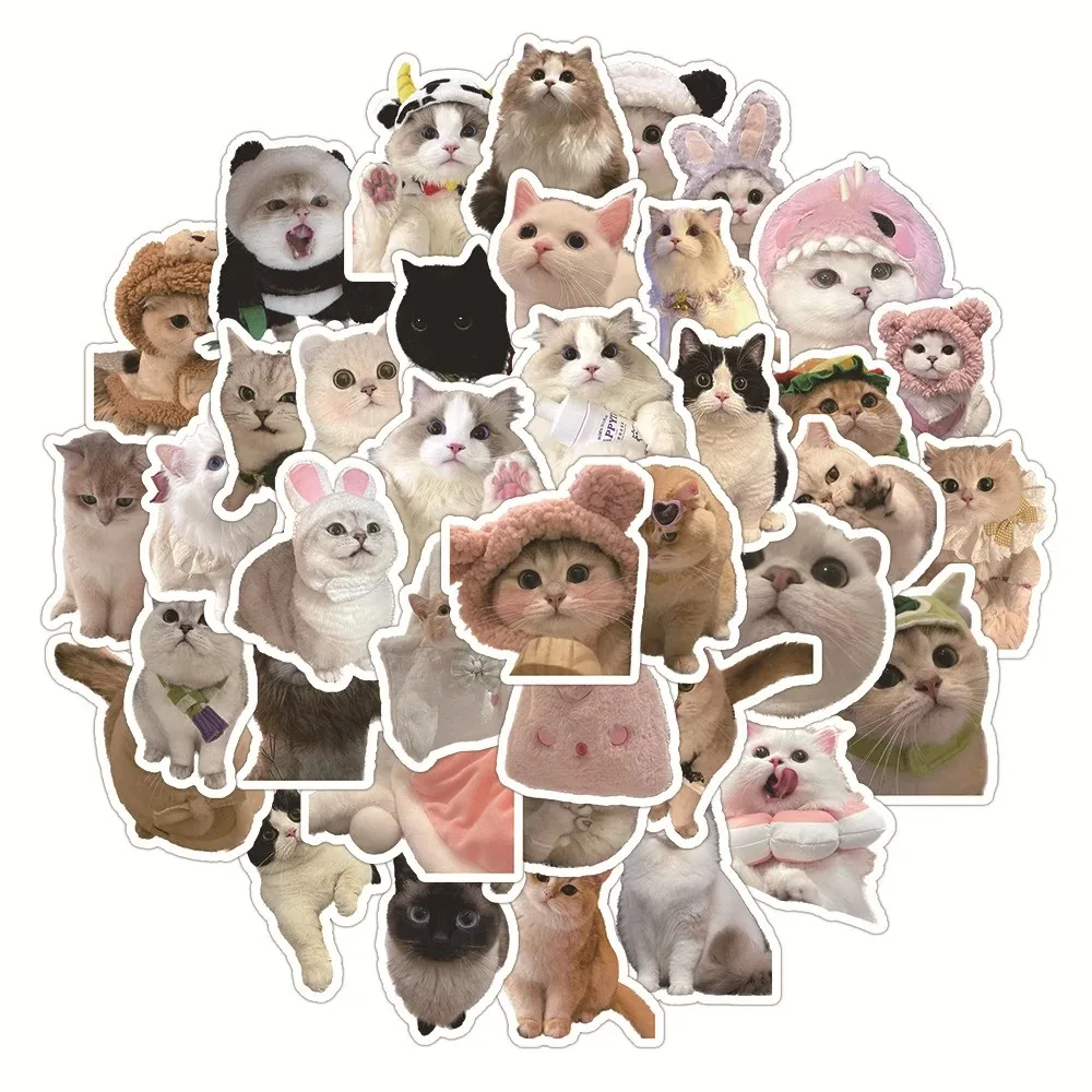 10/60PCS Kawaii Cats Stickers Toys Cute Kitten Cartoon Decals For Kids DIY Toys Secret for Bottle Travel Bag Aesthetic Decals