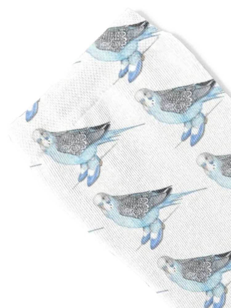 Budgie in Blue 2-toned wingtips Socks cute sports stockings gift Socks Girl Men's