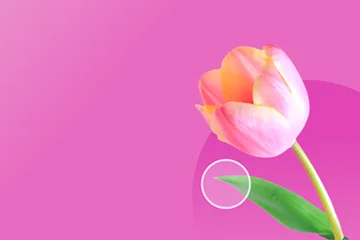 

Wltoys 124006 12423 12427 12428 12429 Metal Upgrade Parts Kit Steering Cup Steering Assembly Link Rod 1/12 RC Car Accessories