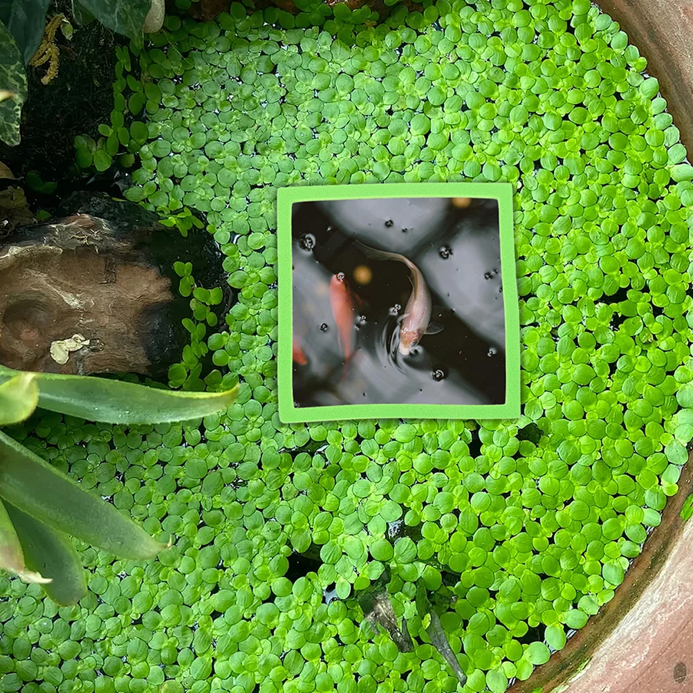 

10pcs Fish Tank Floating Plant Rings Durable Aquarium Floating Plant Divider Shelter Protection Natural Environment Simulation