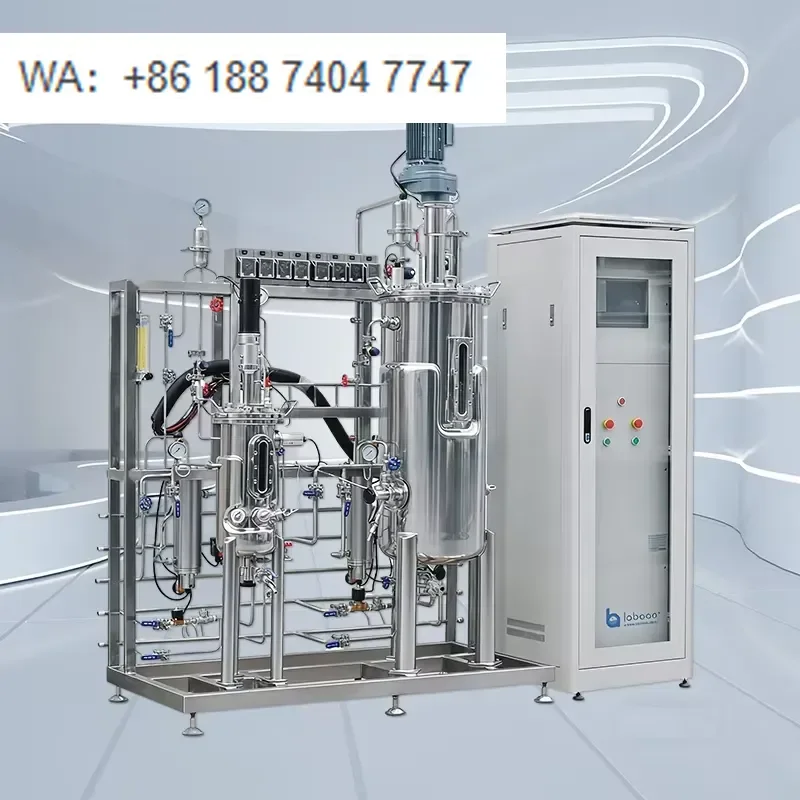 for Laboao Industrial Production Scale Secondary Stainless Steel Bioreactor Fermenter System 20L-200L Automatic Motor