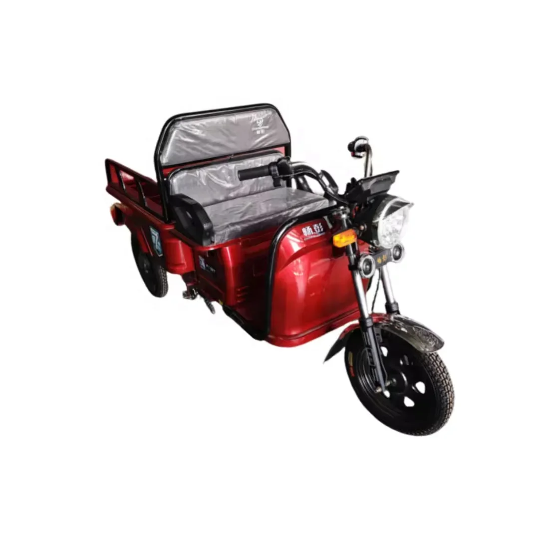 New Design Agricultural Tricycle Electric Cargo Tricycle For Adult 48V Closed Electric Bicycle 200 Kg Load Eec Enclosed Scooter