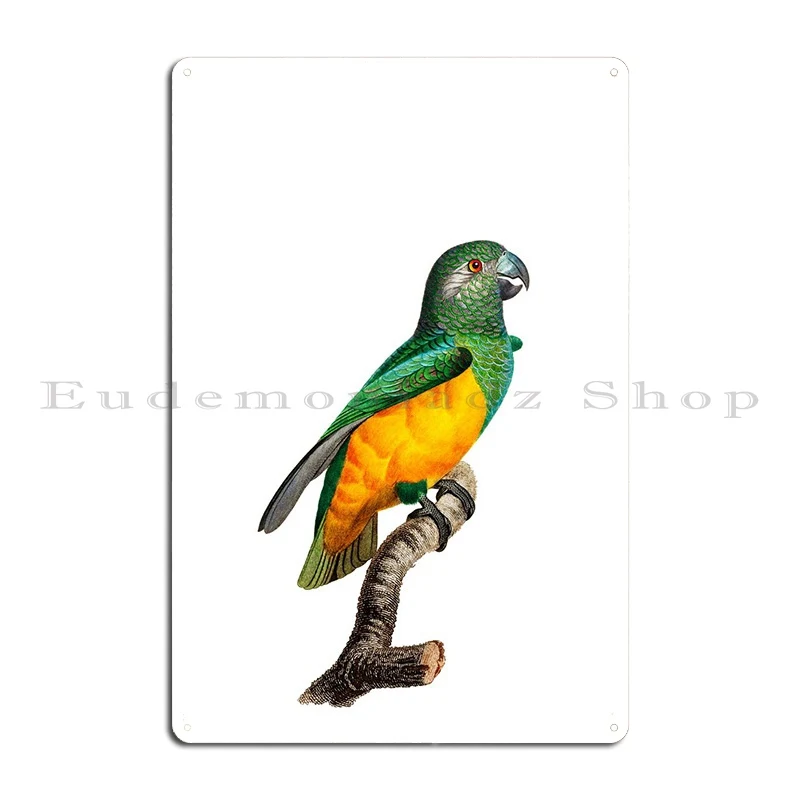 Exotic Senegal Parrot Bird Metal Sign Decoration Design Garage Cinema Bar Tin Sign Poster