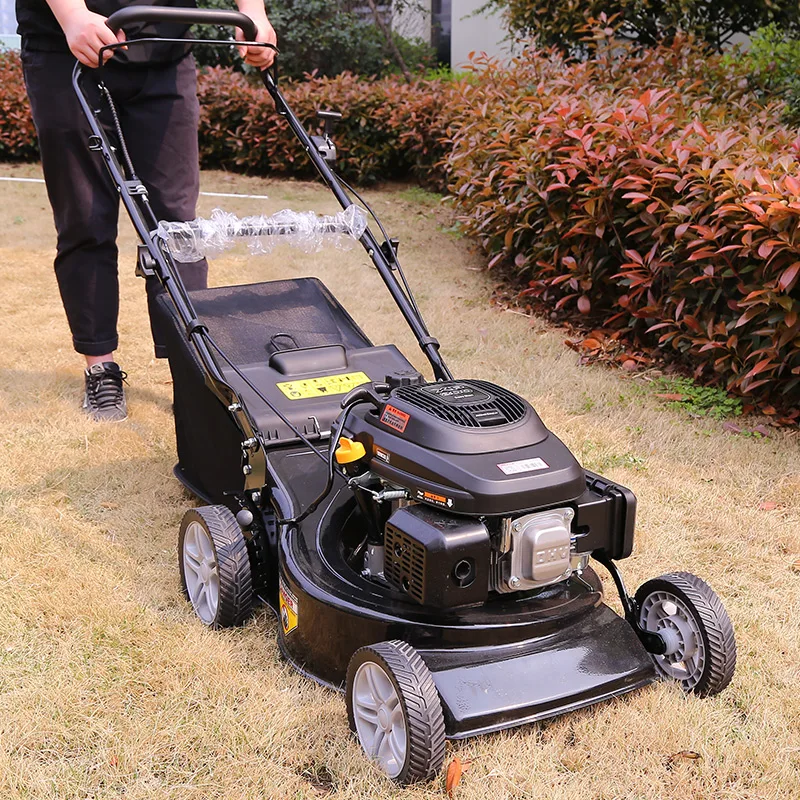 Gasoline Powered Handle Landscaping Lawn Mower and Shrub Cutter