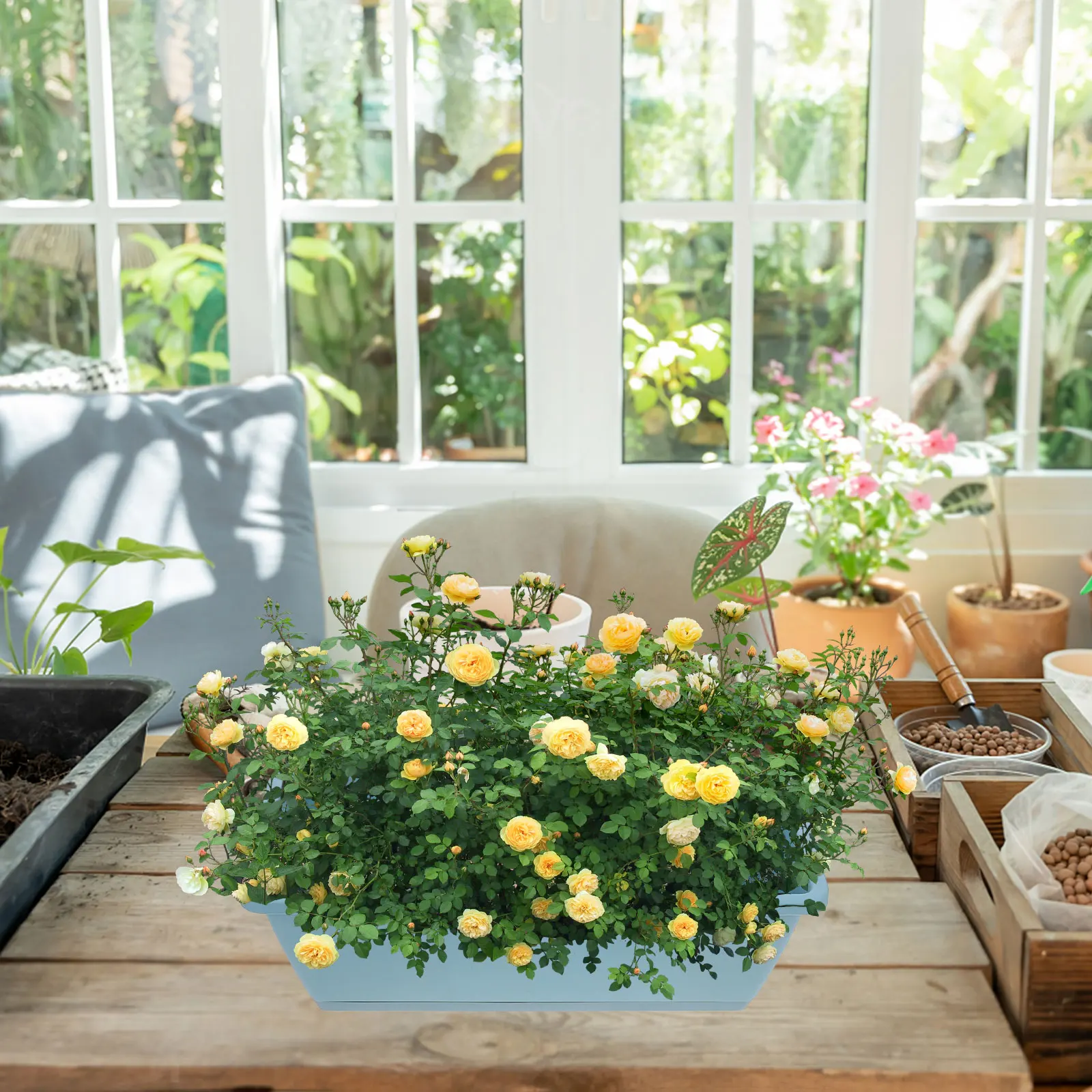 

2Sets Safe Durable Plant Containers for Vegetables Succulents Indoor Outdoor Decor Windowsill Planter Box Flower Pot with Tray