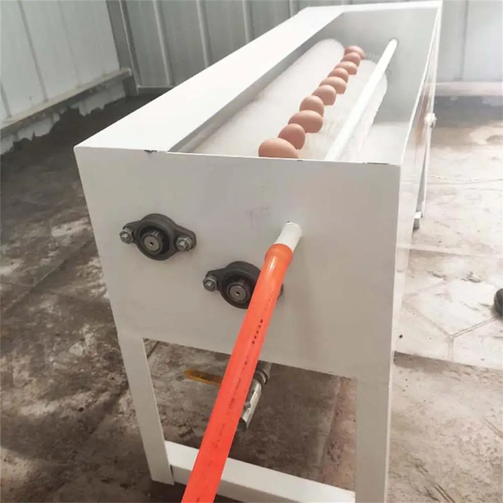معدات تجارية صغيرة أوتوماتيكية بالكامل لتنظيف البيض ، غسالة بيض من الفولاذ المقاوم للصدأ بكفاءة تنظيف عالية