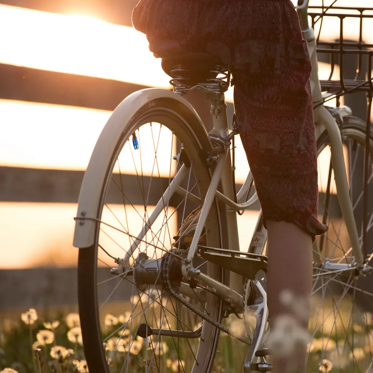 2Pcs French Style Tire Cover Titanium Alloy Cap for Mountain Road Bikes Durable and Practical Colorful Bike Tire Cap