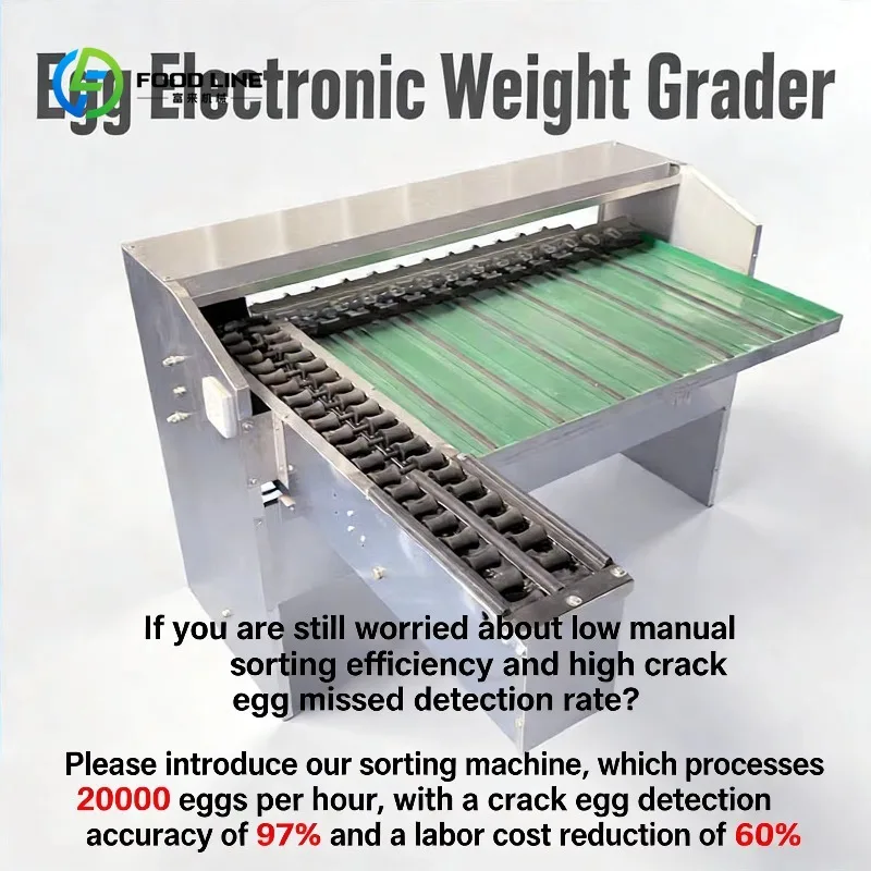 Customized 1 Year Warranty Mini Egg Sorting Machine Small Type and Small Egg Sorting Machine for Home Farm