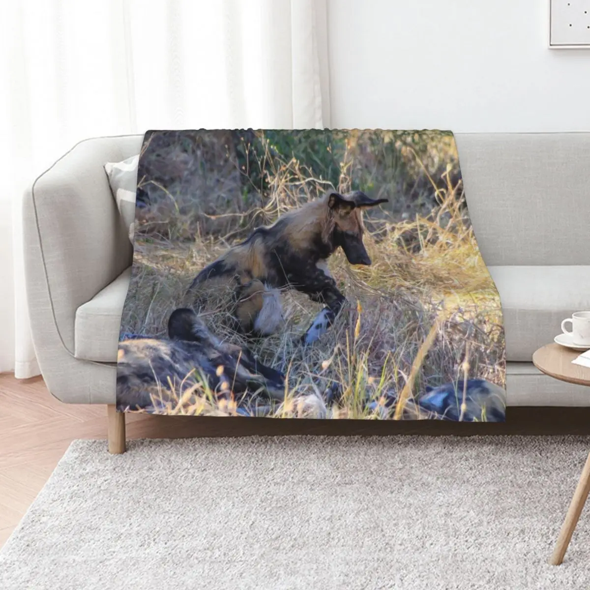 Wild dog sitting with its pack Throw Blanket Hair Blankets For Baby Bed Flannels Moving Bed Fashionable Blankets