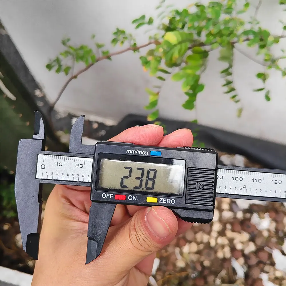 150mm Electronic Digital Caliper Plastic Dial Vernier Caliper LCD Display Gauge Micrometer Calibrator Measuring Tool Ruler